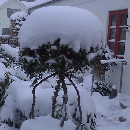 Gaeste Anneks Hos Hanne Hjørring Exterior foto